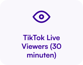 TikTok Live Viewers (30 minuten)